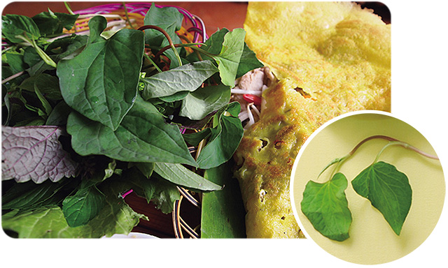 ベトナム ハーブのおいしい関係 ベトナムスケッチ Vietnam Sketch ベトナム情報ウェブマガジン 2ページ目