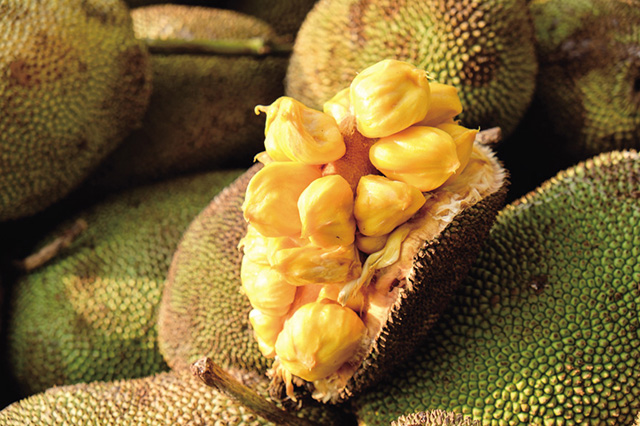 サイゴン通信 南部産は一味違う ジャックフルーツの季節到来 ベトナムスケッチ Vietnam Sketch ベトナム情報ウェブマガジン