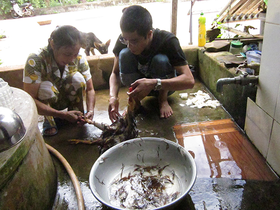 ベトナムふしぎ発見 動物を殺して食べる理由は 文化や味の好みと 嫁スキル ベトナムスケッチ Vietnam Sketch ベトナム 情報ウェブマガジン ベトナムふしぎ発見 動物を殺して食べる理由は 文化や味の好みと 嫁スキル ベトナムスケッチ Vietnam Sketch ベトナム 情報ウェブマガジン